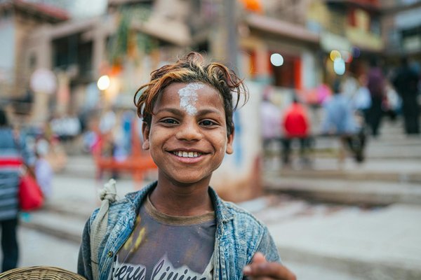 Chanvre : les points à vérifier avant de commander