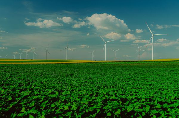 Industrie durable: clé pour un avenir vert