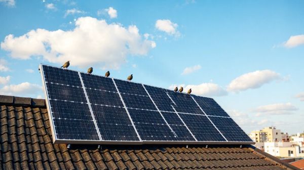 Top conseils pour installer des panneaux solaires et faire des économies
